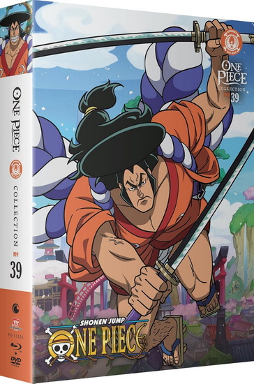 One Piece: Collection 39 (Blu-ray/DVD Combo)