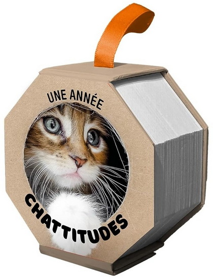 Ephéméride : une année chattitudes - COLLECTIF