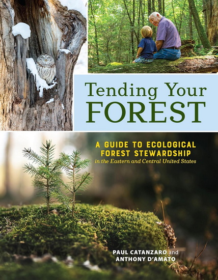 Tending Your Forest: A Guide to Ecological Forest Stewardship in the Eastern and Central United States - PAUL CATANZARO - ANTHONY D'AMATO
