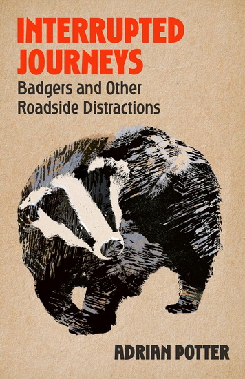 Interrupted Journeys: Badgers and Other Roadside Distractions - ADRIAN POTTER