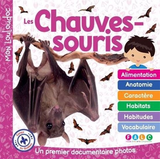 Les Chauves-souris - OUELLET MARIE-CLAUDE