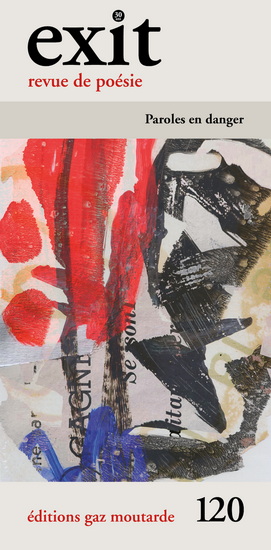 Exit #120 Paroles en danger - STÉPHANE DESPATIE