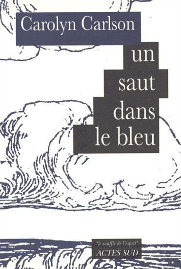 Un saut dans le bleu - CAROLYN CARLSON