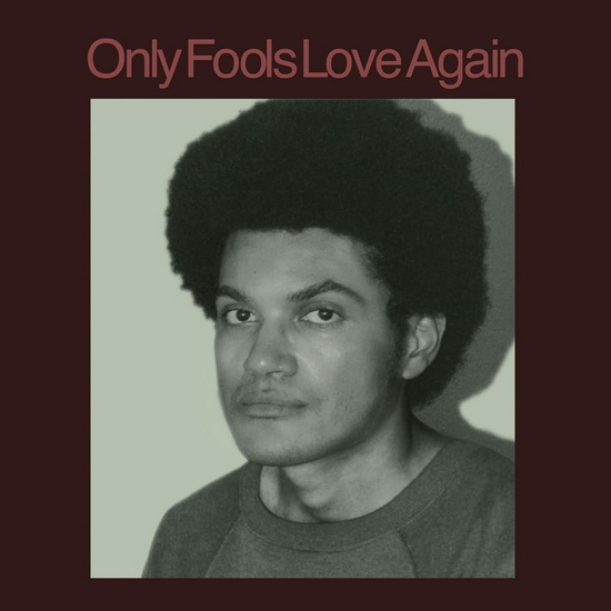 Only Fools Love Again (Vinyle) - DANNY AYALA
