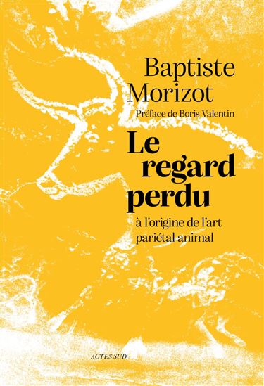 Le Regard perdu : à l&#39;origine de l&#39;art pariétal animal - BAPTISTE MORIZOT