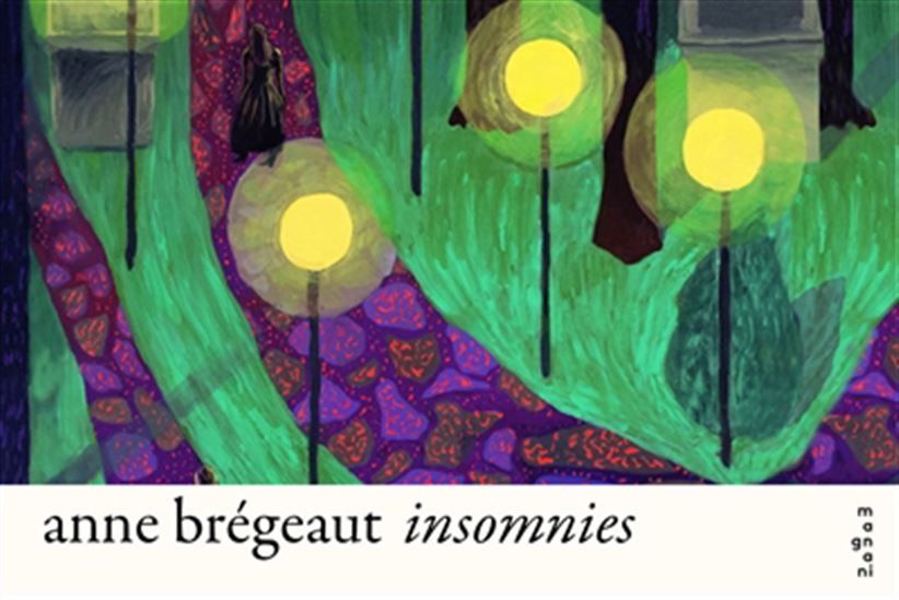 Insomnies - ANNE BRÉGEAUT