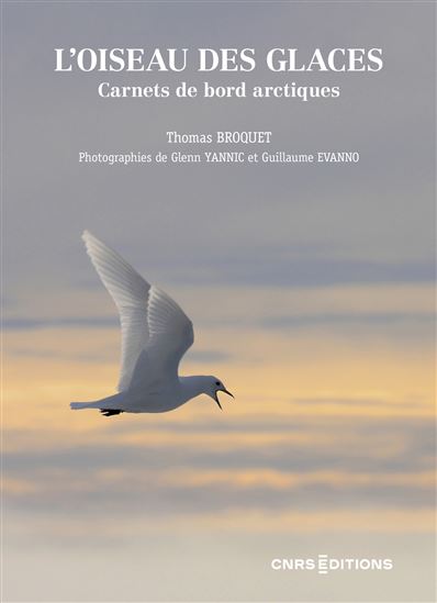 L&#39;Oiseau des glaces : carnets de bord arctiques - THOMAS BROQUET