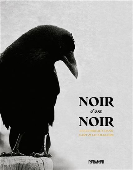 Noir c&#39;est noir : les corbeaux dans l&#39;art & le folklore - ANGUS HYLAND - CAROLINE ROBERTS