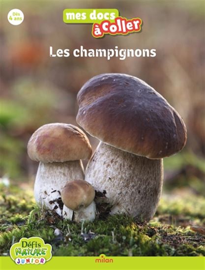 Bioviva : Les champignons - PAULINE PAYEN