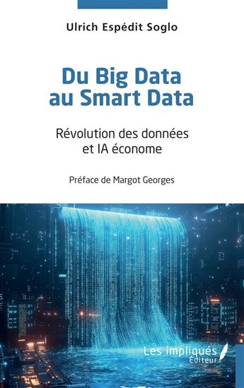 Du Big Data au Smart Data - ULRICH ESPÉDIT SOGLO