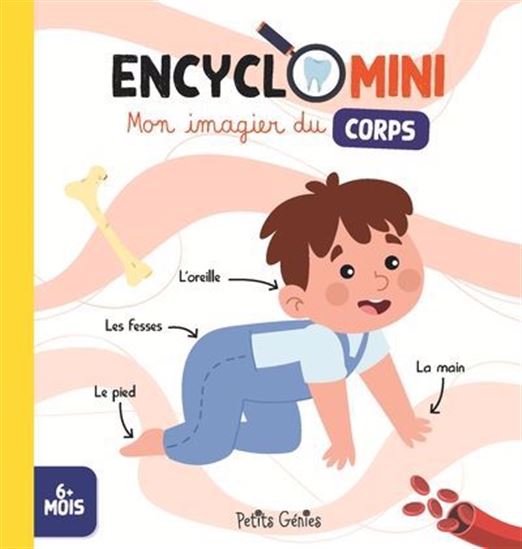 Encyclomini : mon imagier du corps - JOANIE FERLAND-GLOBENSKY