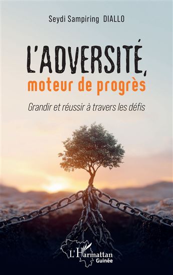 L’adversité, moteur de progrès - SEYDI SAMPIRING DIALLO