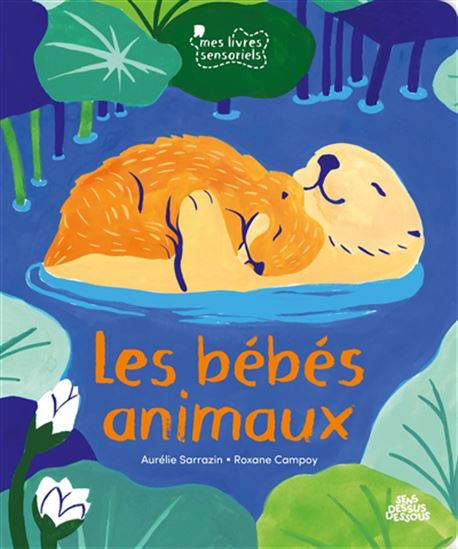 Les Bébés animaux - AURÉLIE SARRAZIN - ROXANE CAMPOY