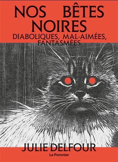 Nos bêtes noires : diaboliques, mal-aimées, fantasmées - JULIE DELFOUR