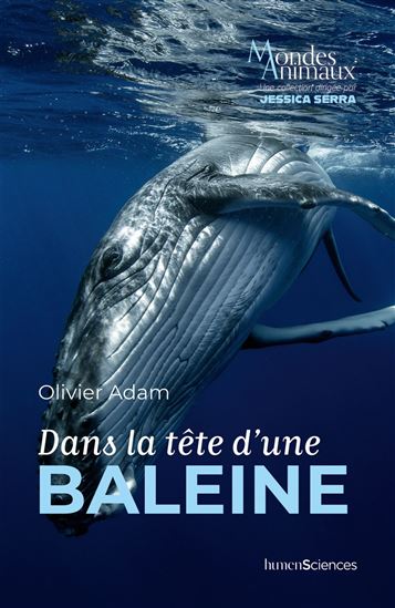 Dans la tête d&#39;une baleine - OLIVIER ADAM