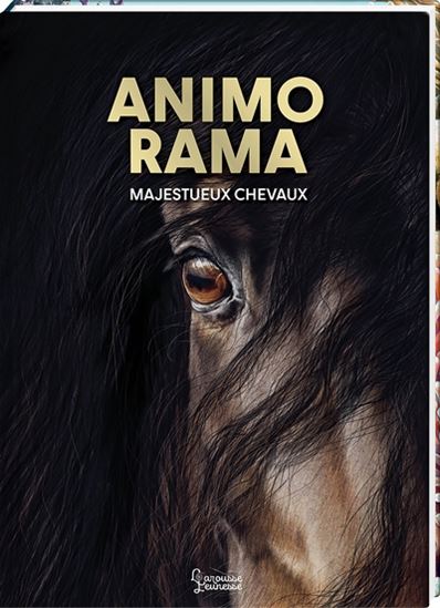 Animo Rama : majestueux chevaux - SUSAN NIESSEN - JULIA GERIGK