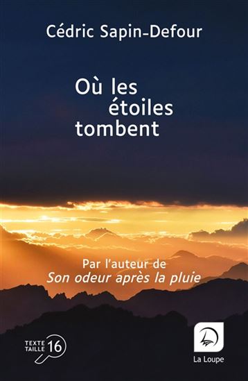 Où les étoiles tombent - CÉDRIC SAPIN-DEFOUR