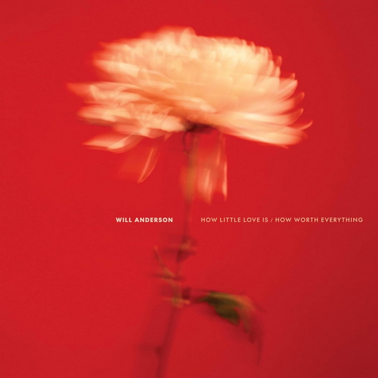 How Little Love Is / How Worth Everything (Vinyle) - WILL ANDERSON