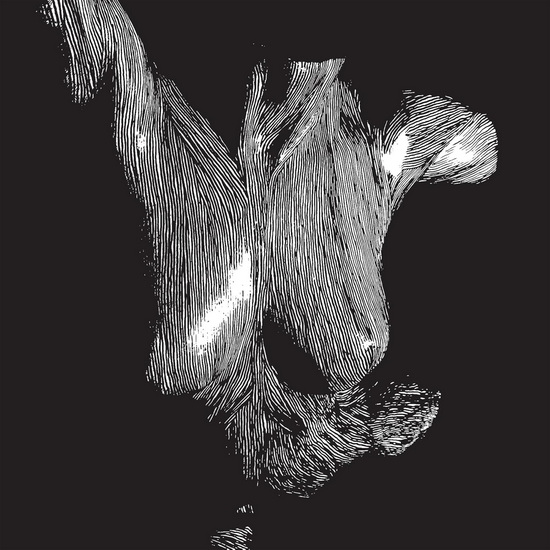 Self Preserved While The Bodies Float Up (15th Anniversary)(Vinyle) - OCEANSIZE