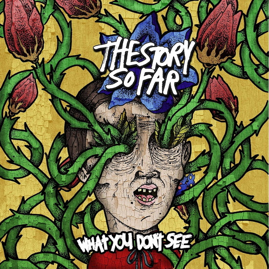 What You Don&#39;t See (Vinyle couleur) - THE STORY SO FAR