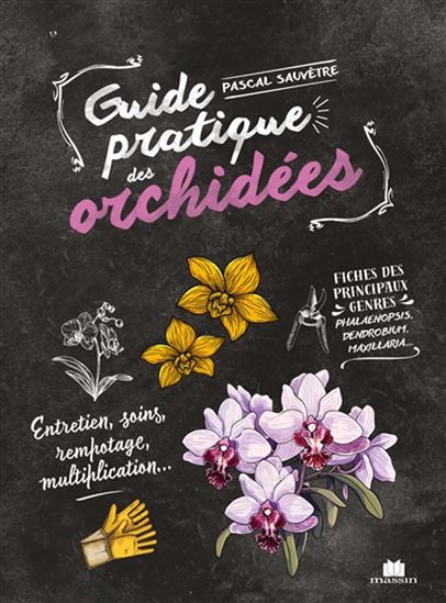 Guide pratique des orchidées : entretien, soins, rempotage, multiplication... N. éd. - PASCAL SAUVÊTRE