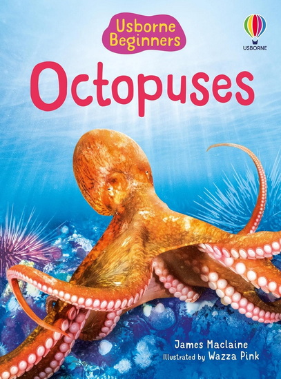 Beginners Octopuses - JAMES MACLAINE - WAZZA PINK