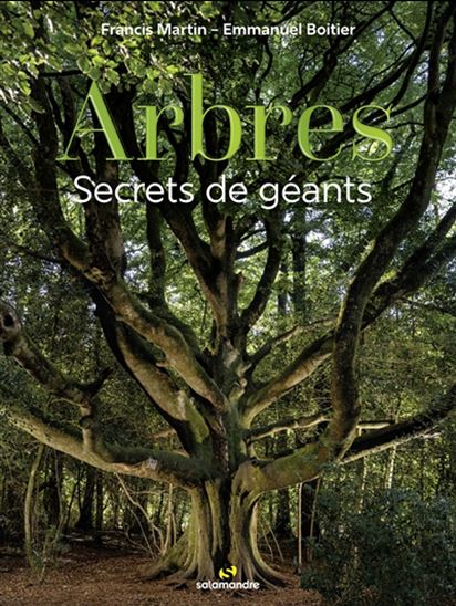 Arbres : secrets de géants - FRANCIS MICHEL MARTIN