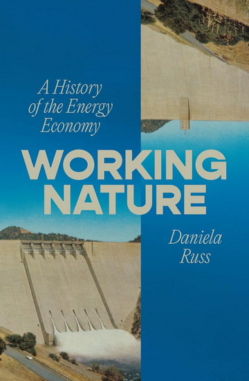 Working Nature: A History of the Energy Economy - DANIELA RUSS