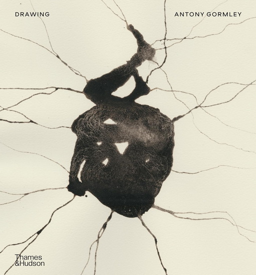 Drawing: Antony Gormley - ANTONY GORMLEY - WJT MITCHELL