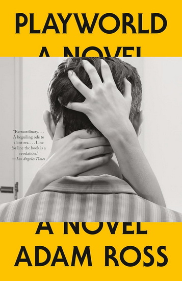 Playworld: A Novel - ADAM ROSS