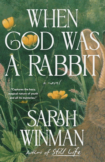 When God Was a Rabbit - SARAH WINMAN