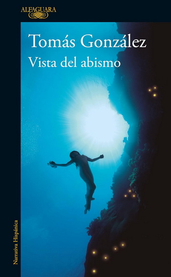 Vista del abismo / A View of the Abyss - TOMÁS GONZÁLEZ