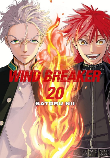 WIND BREAKER 20 - SATORU NII