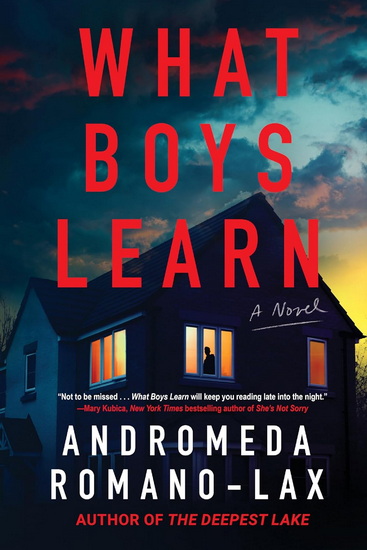 What Boys Learn - ANDROMEDA ROMANO-LAX