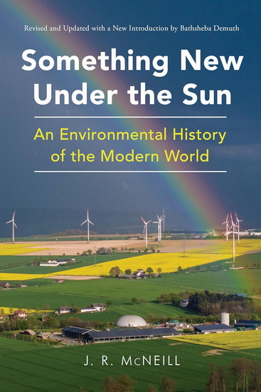 Something New Under the Sun - J R MCNEILL