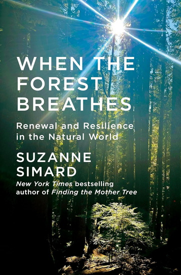 When the Forest Breathes: Renewal and Resilience in the Natural World (Large print) - SUZANNE SIMARD