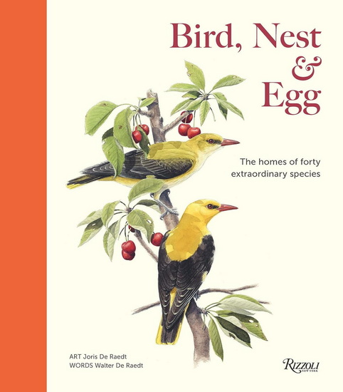 Bird, Nest & Egg: The Homes of Forty Extraordinary Species - WALTER DE RAEDT - JORIS DE RAEDT