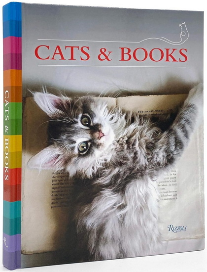 Cats & Books - UNIVERSE