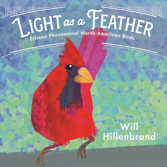 Light as a Feather: Fifteen Phenomenal North American Birds - WILL HILLENBRAND