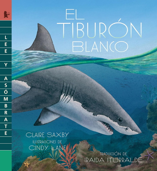 El tiburón blanco: Lee y asómbrate - CLAIRE SAXBY - CINDY LANE