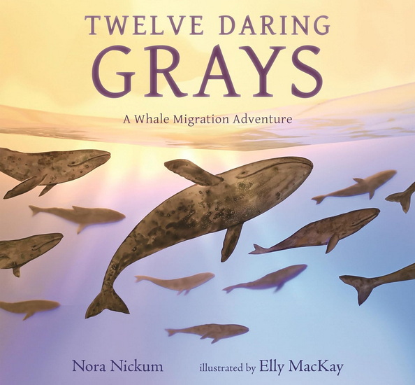 Twelve Daring Grays: A Whale Migration Adventure - NORA NICKUM - ELLY MACKAY