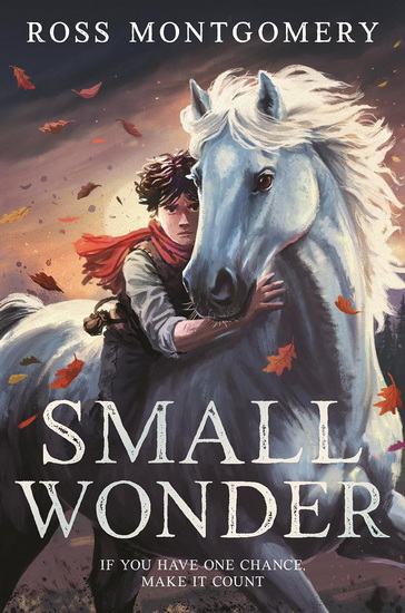 Small Wonder - ROSS MONTGOMERY