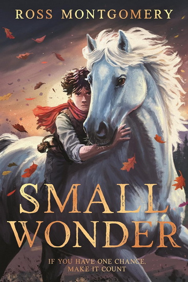 Small Wonder - ROSS MONTGOMERY