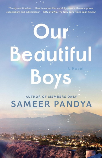 Our Beautiful Boys: A Novel - SAMEER PANDYA