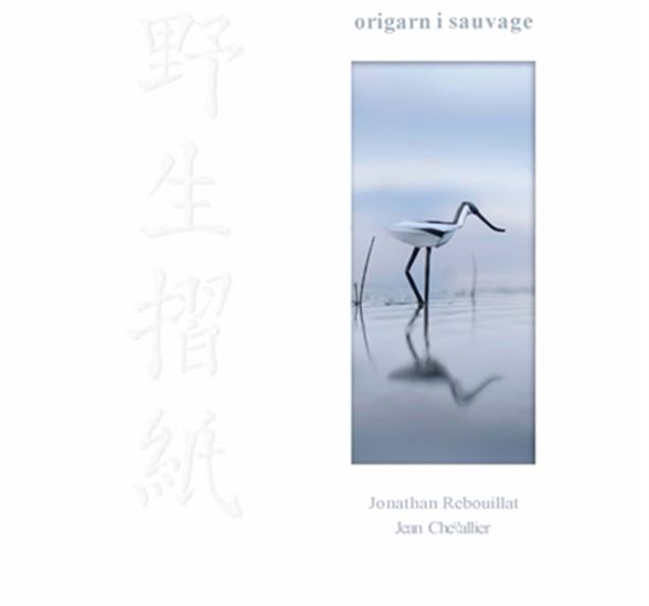 Origami sauvage - JONATHAN REBOUILLAT - JEAN CHEVALLIER