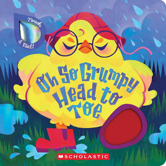 Oh So Grumpy Head to Toe  (Touch and Feel) - COLLECTIF