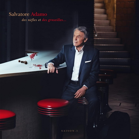 Des nèfles et des groseilles…(2 Vinyles) - SALVATORE ADAMO