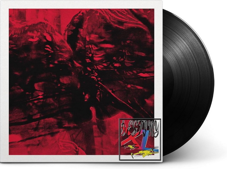 Destiny XL (Vinyle) - THEY ARE GUTTING A BODY OF WATER