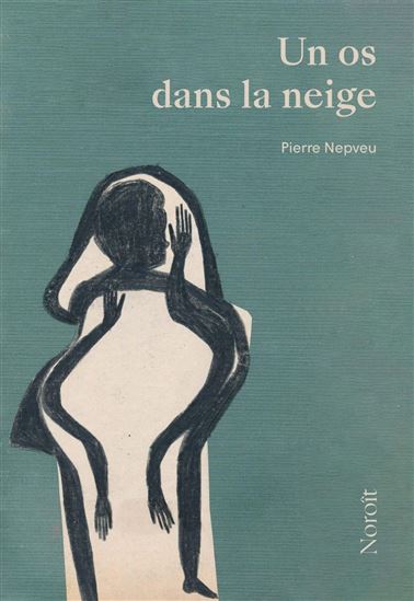 Un os dans la neige - PIERRE NEPVEU