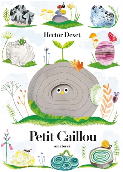 Petit caillou - HECTOR DEXET